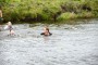 Thumbs/tn_Baggerloop 2015 292.jpg